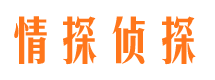 保德市婚外情调查